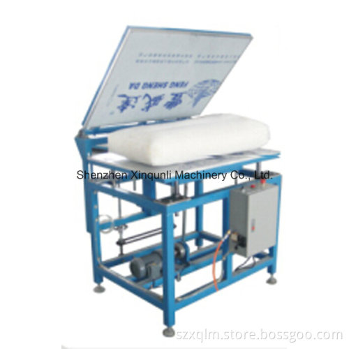Flapping & Flating Pillow Machine (ESF005-2F)